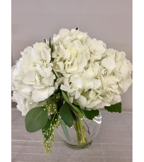 Simply Hydrangeas