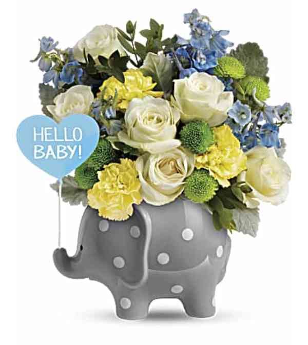 TFT Hello Sweet Baby - Blue