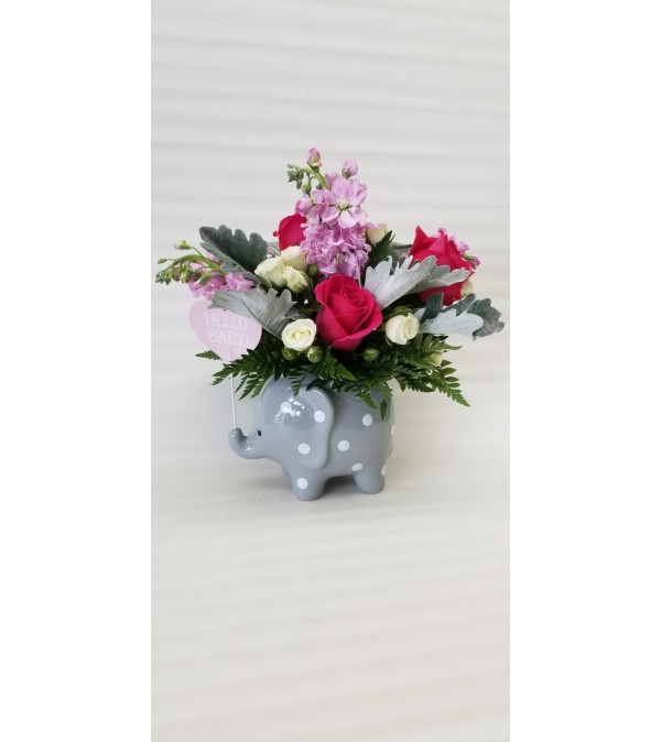 Elephant for Baby Girl