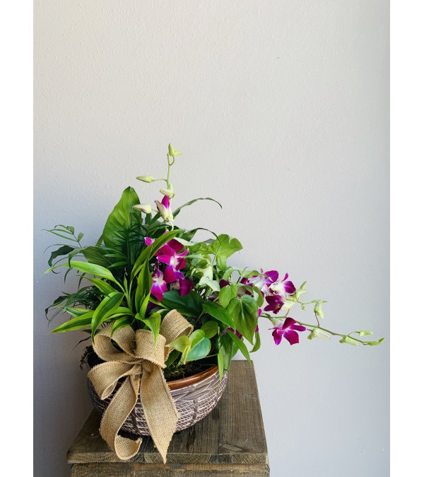 Sweet Planter