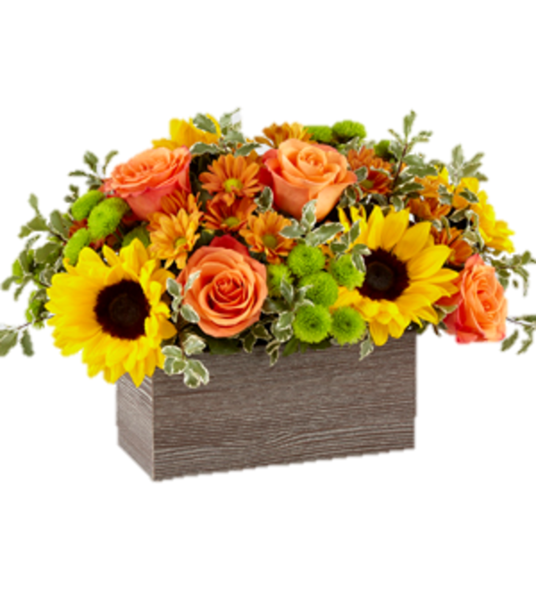 Fall Happy Harvest Garden