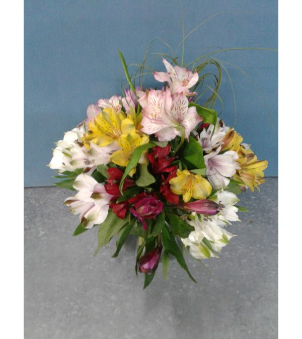 Bear Grass Love