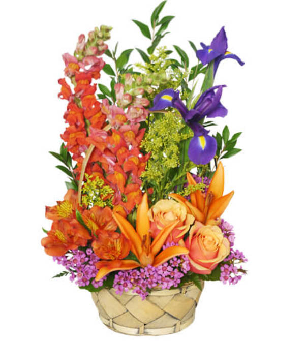 Multi-Color Memories Flower Arrangement - FSN
