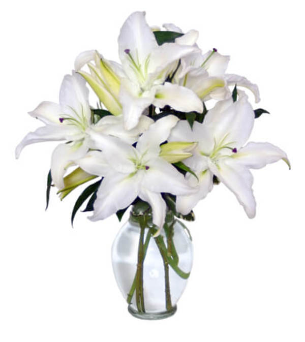 Casa Blanca Lilies Arrangement - FSN