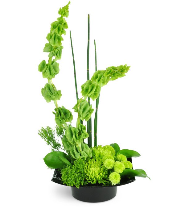 Green Zen