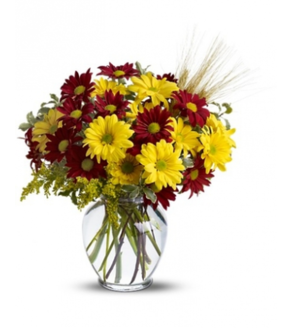 SALE!! Fall for Daisies