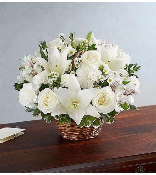Basket-White #2