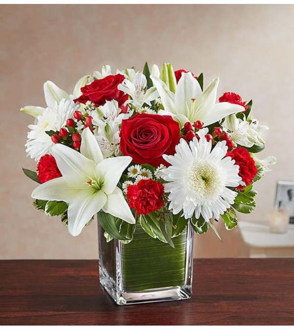 Cube Arrangement-Red & White