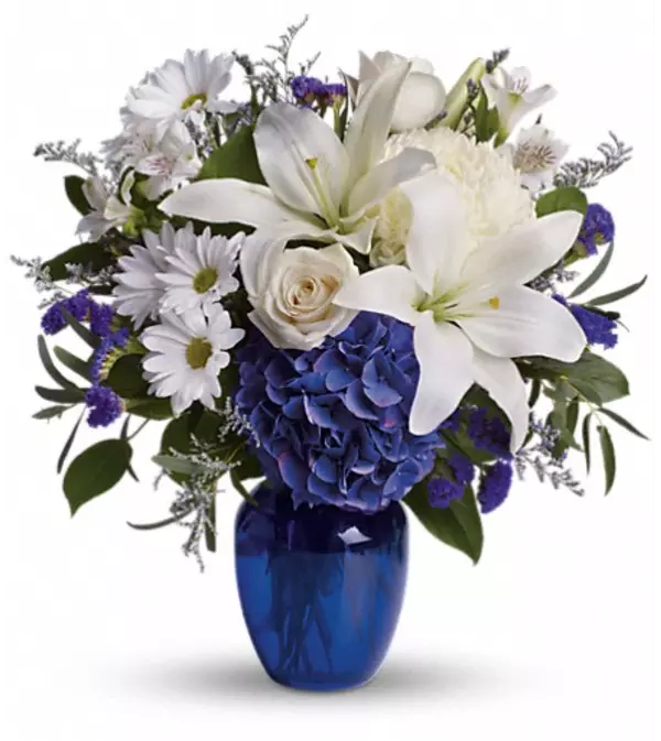 Beautiful in Blue and White
