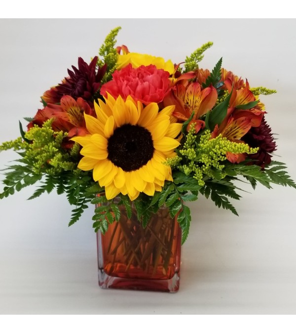 Changing colors (Sunflowers out of season)