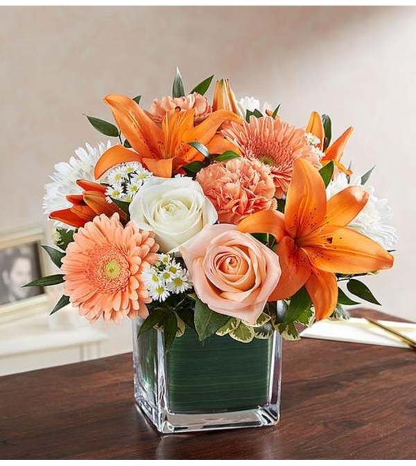 Cube Arrangement-Orange/Peach & White