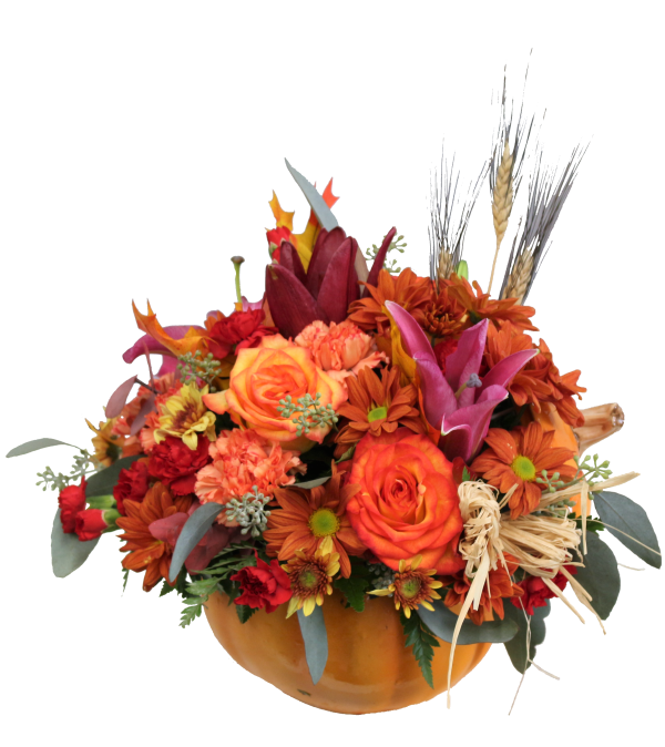 Autumn's Harvest
