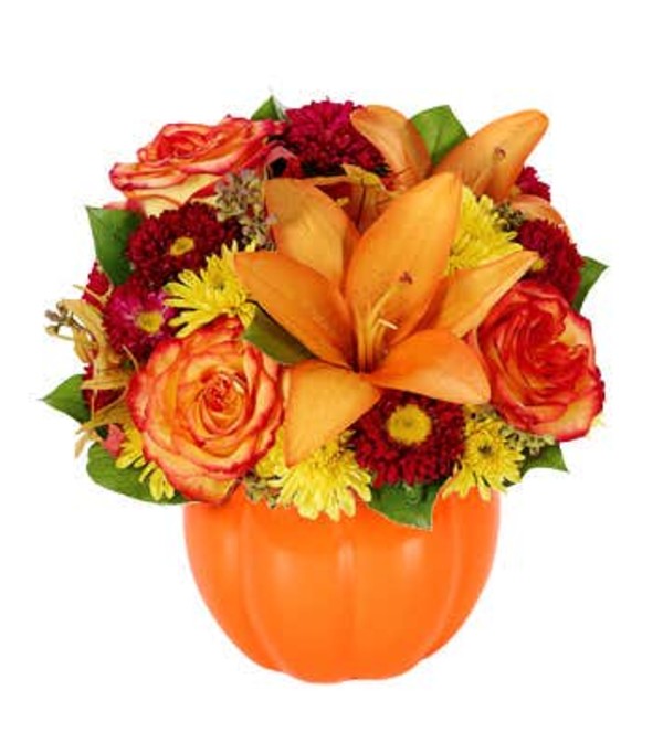 A Fall Harvest Pumpkin