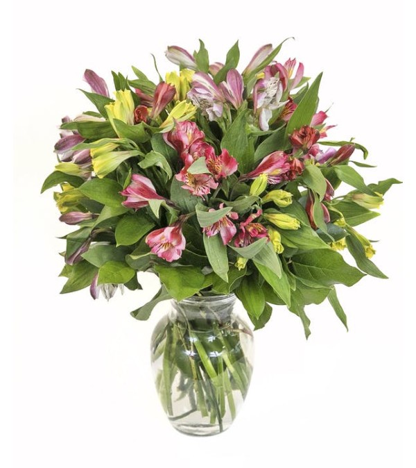 Amy's Alstromeria Vase