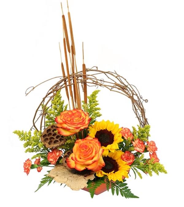 November's Crown
