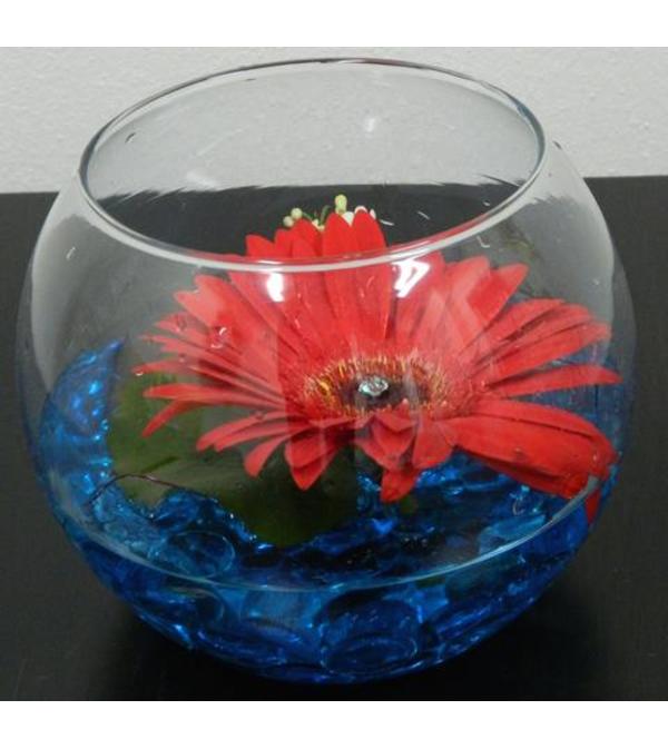 Floating Gerbera