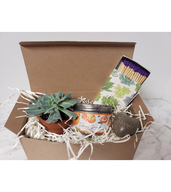 Succulent & Candle Gift Box