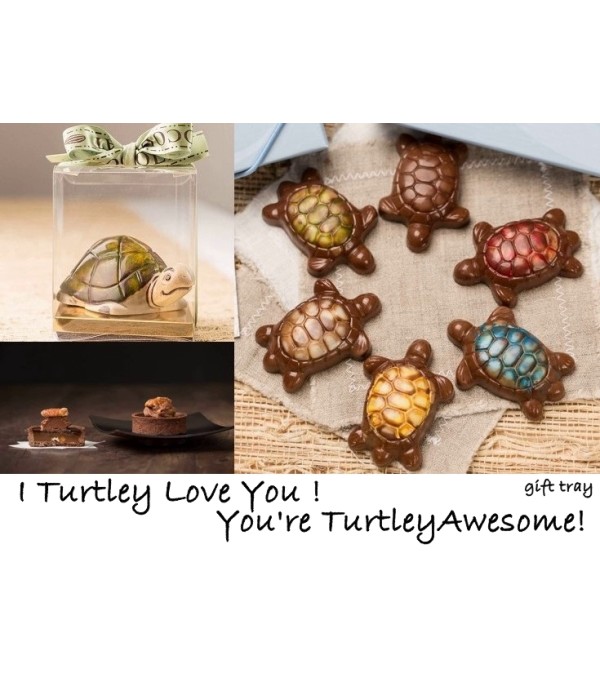 Turtley Awesome!