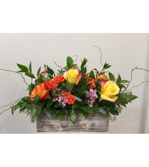Roses in Long Wood Box