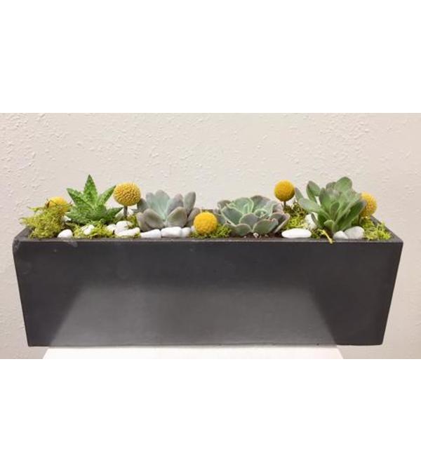 Angle 33 Long Succulent Planter