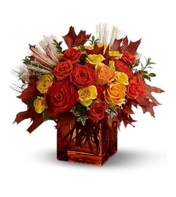 FINE FALL ROSES