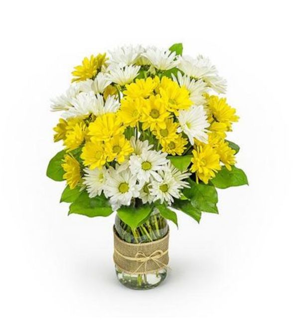 Daisies in a mason jar