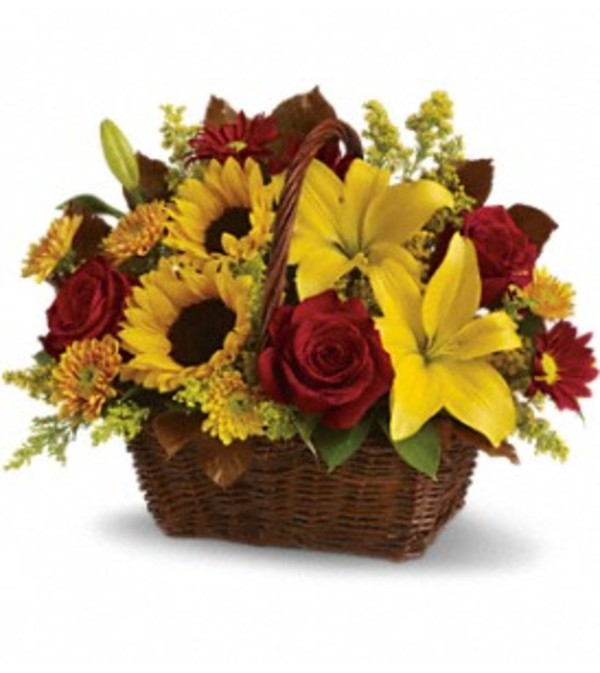 Golden Days Basket TF