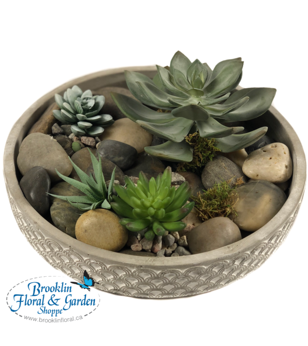 Everlasting Succulent Dish Garden