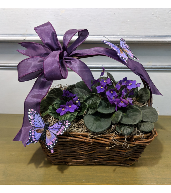 Pretty Purple Violet Basket