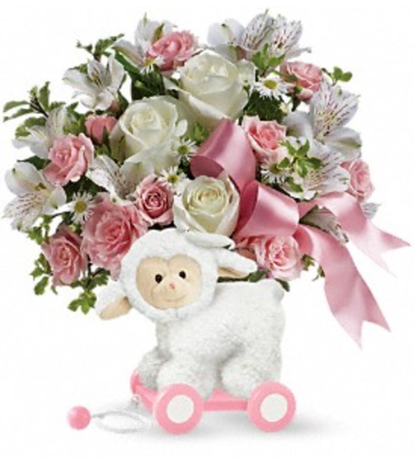 Sweet Little Lamb in Pink