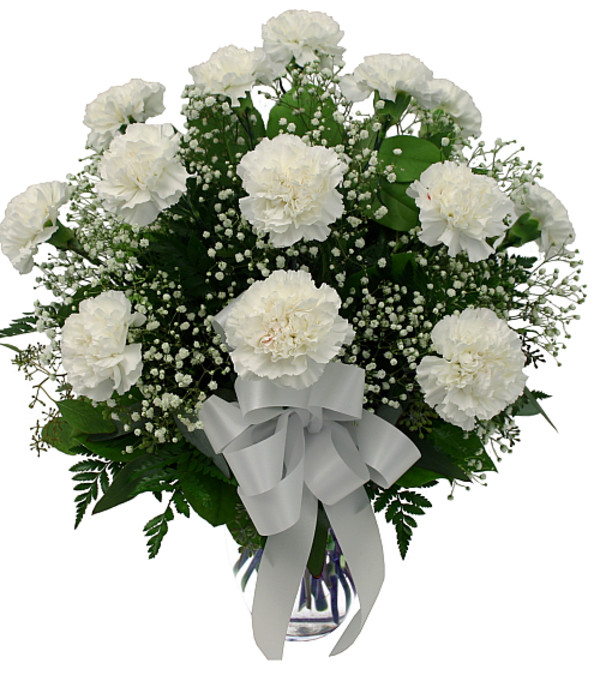 12 White Carnations in vase