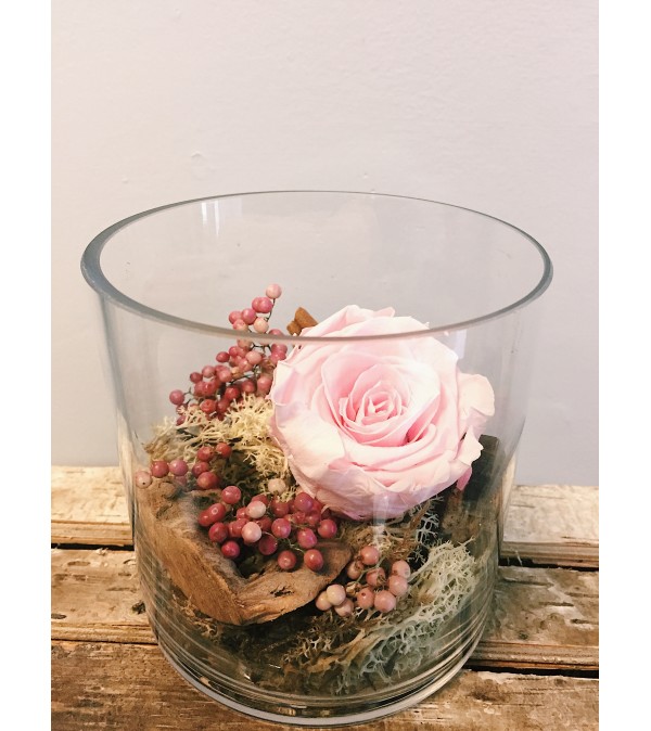 Preserved Rose (Blush)