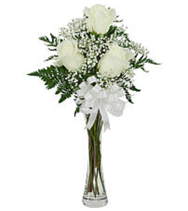 3 White Roses 19