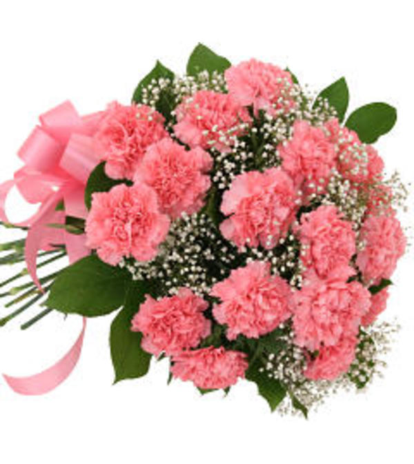 12 Pink Carnations Bouquet 19