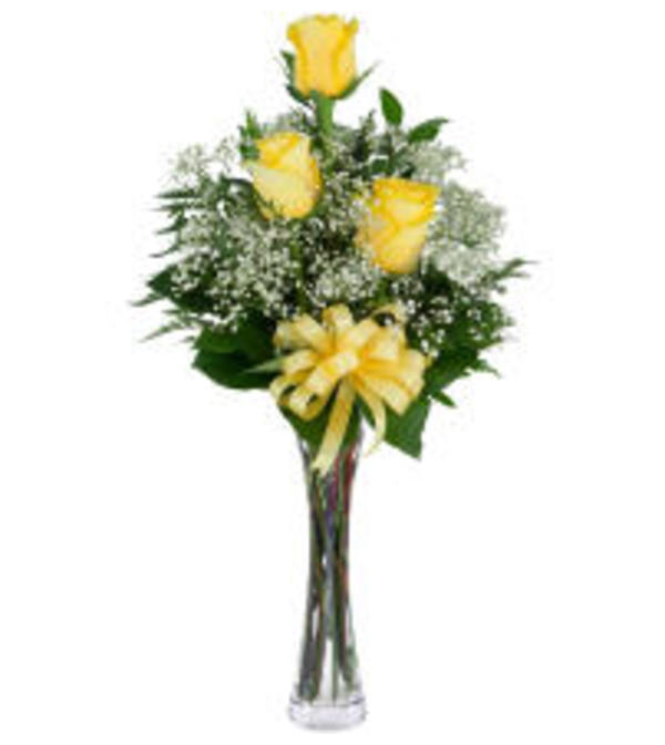 Friendship Rose 19