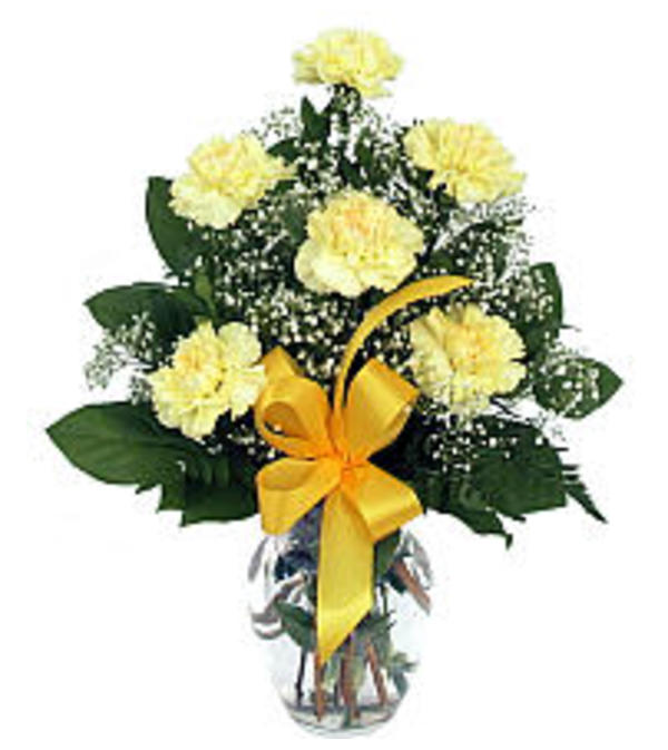 6 Yellow Carnations 19