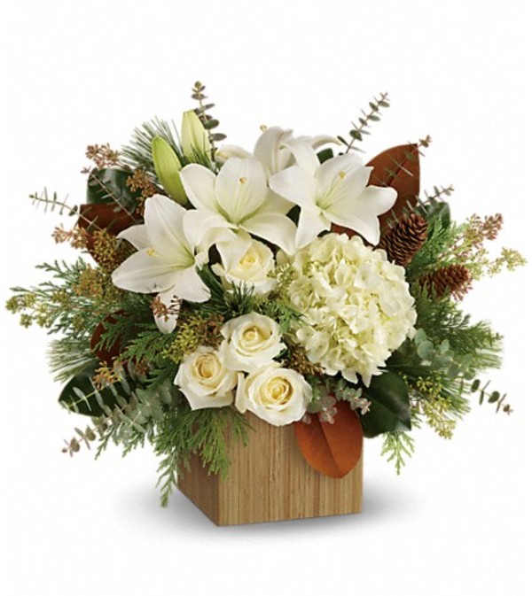 Teleflora Snowy Woods by TCG