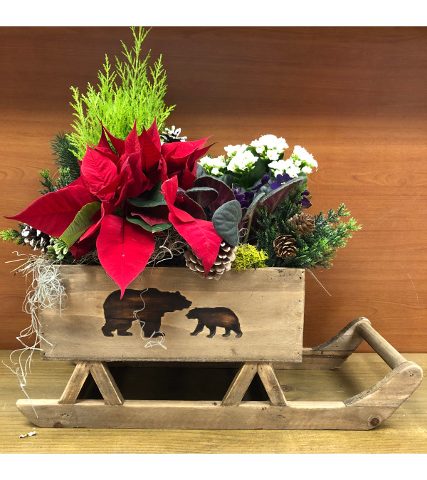 Beary Christmas Sleigh Planter