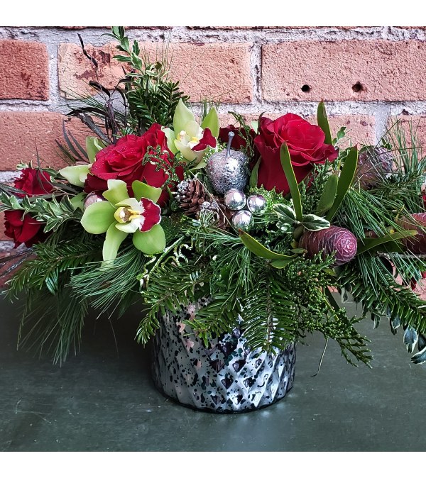 Holiday Orchid Delight