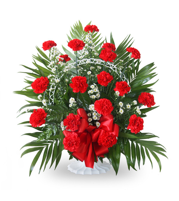 Floor Basket-Red Carnations