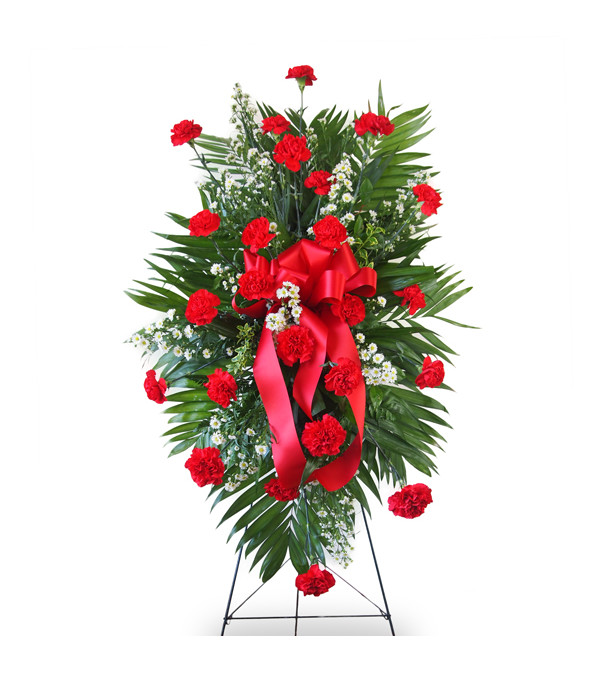 Standing Spray-Red Carnations