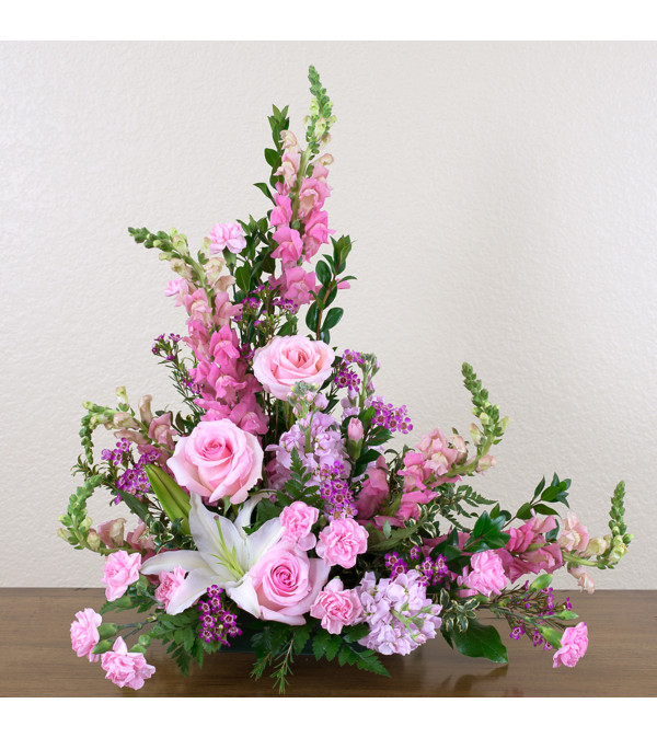 Sympathy Design