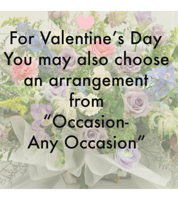 Occasion-Any Occasion