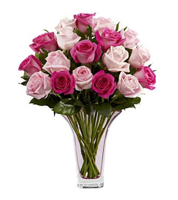 Pretty in Pink Roses