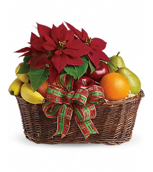 Fruits and Poinsetta
