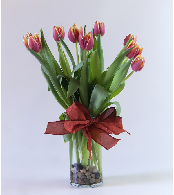 Valley of Tulips