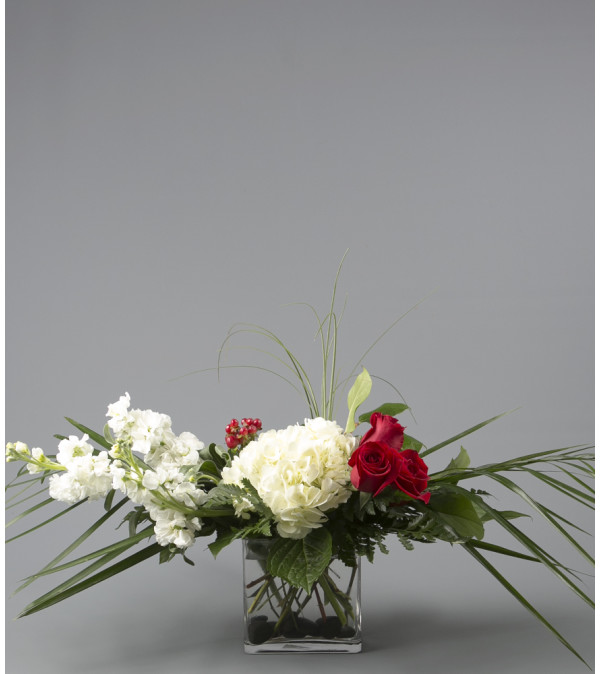 Blooming Romance