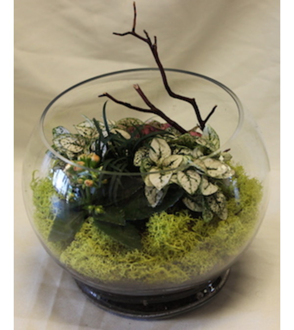 garden in glass