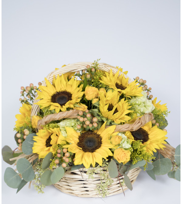Bursting with Sunshine