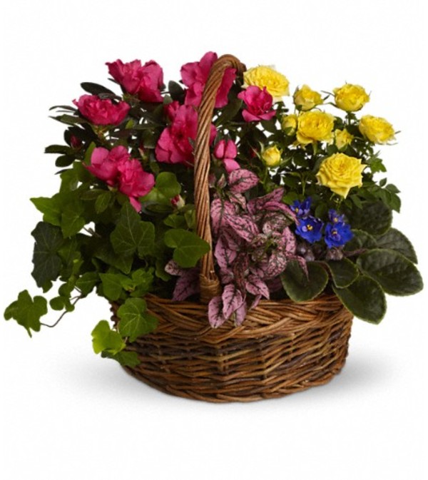 Blooming Garden Basket